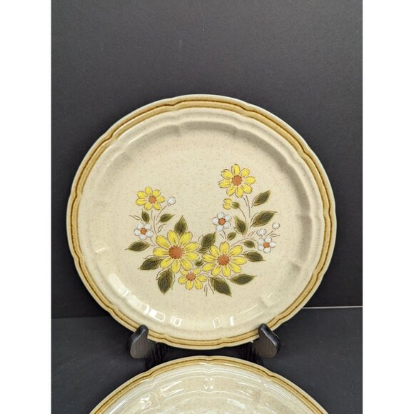 Crown Manor Handpainted Stoneware Spring Daisy 10 1/2" Dinner Plate Set of 2 - Picture 2 of 7